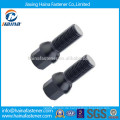 Auto Fastener High Stength Black Wheel Schrauben